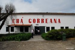 Fábrica de Chá Gorreana