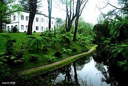 Terra Nostra Park Sao Miguel