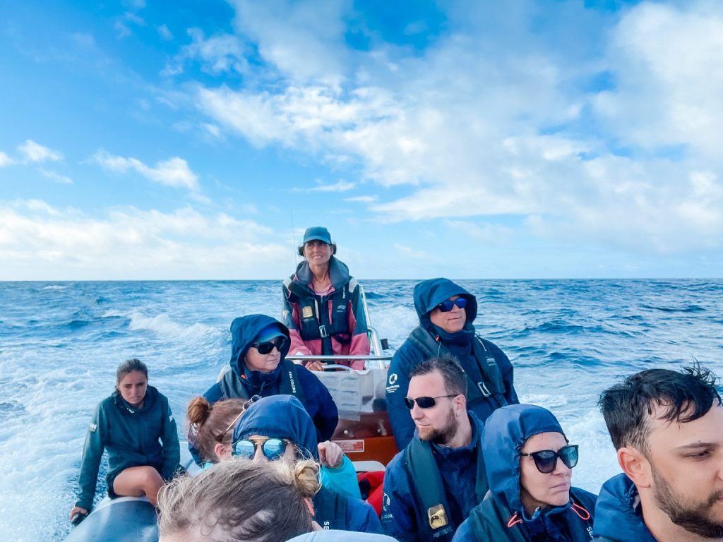 Wal und Delfinbeobachtung Azoren